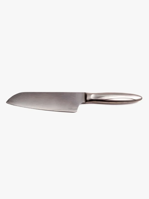Professional Chef Knife